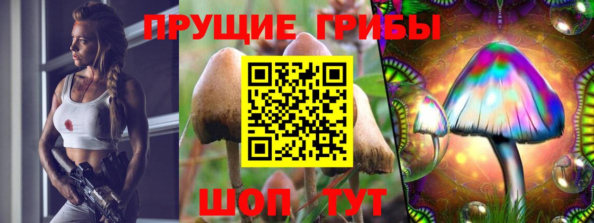 Псилоцибиновые грибы Magic Shrooms Кинель