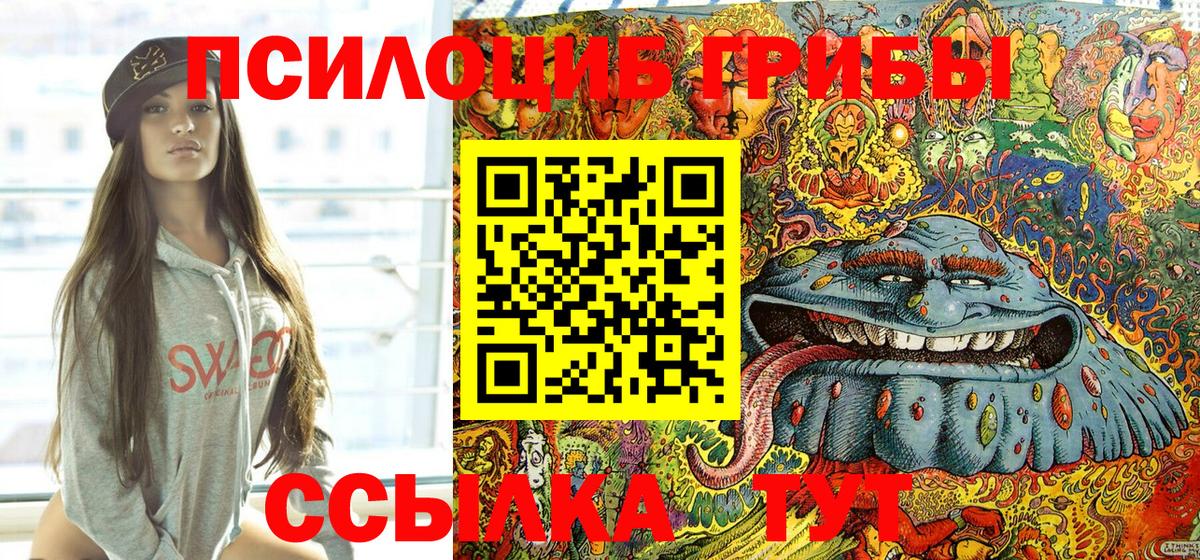Кинель  закладки  Галлюциногенные грибы мухоморы  Вход с VPN  Псилоцибиновые грибы прущие грибы 